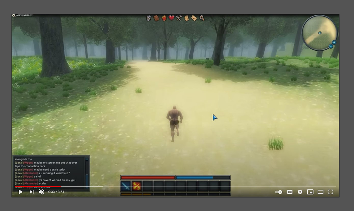 MMO Gameplay